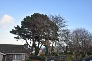 - click for photo gallery